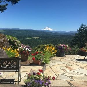 Meet your Posher, Marilyn